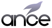 Ance Recovery